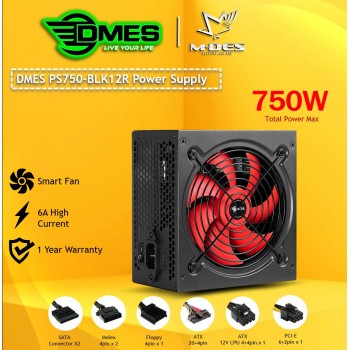 DMES PS750-BLK12R Power Supply 750W (220V)