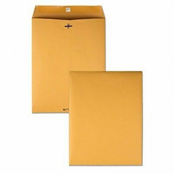 Brown Envelope 10 Inch  x 15 Inch 